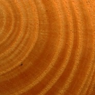 Materiais - Indústrias de Madeira