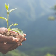 Proteção do Ambiente